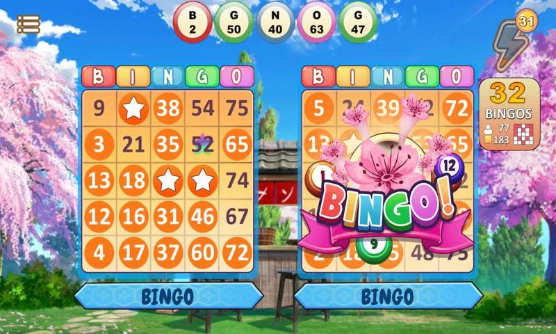 Apostas de bingo